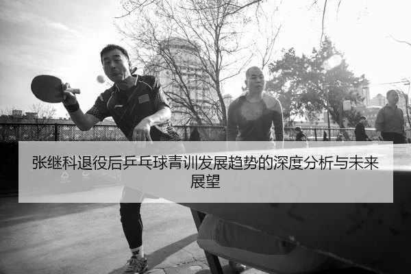 张继科退役后乒乓球青训发展趋势的深度分析与未来展望