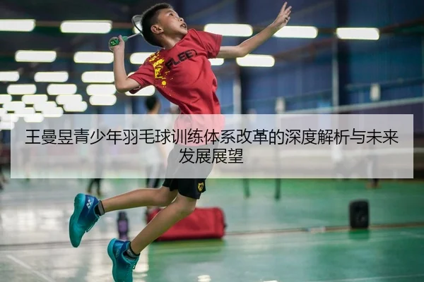 王曼昱青少年羽毛球训练体系改革的深度解析与未来发展展望